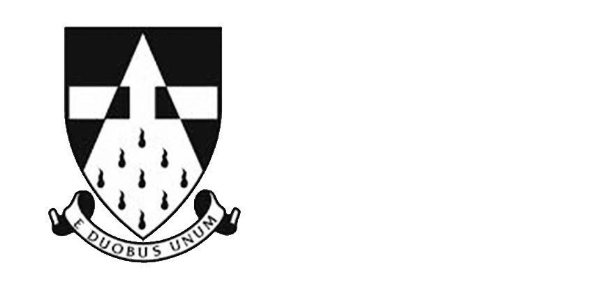 The Welding Institute Logo White